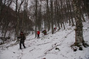 Clicca qui per vedere l'immagine in dettaglio